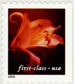 Orange Lily - First-Class - Perf 10.5 X 10.75 United States Postage Stamp | Flowers