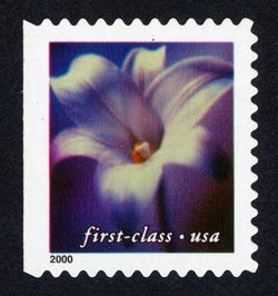 White Lily - First-Class - Pert 11.5 X 11.75 United States Postage Stamp | Flowers