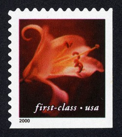 Orange Lily - First-Class - Pert 11.5 X 11.75 United States Postage Stamp | Flowers