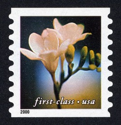 Freesia - First-Class - Horizontal Imperforate United States Postage Stamp | Flowers