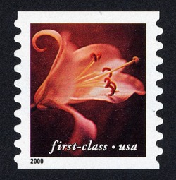 Orange Lily - First-Class - Horizontal Imperforate United States Postage Stamp | Flowers