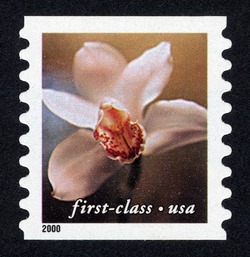 Cymbidium Orchid - First-Class - Horizontal Imperforate United States Postage Stamp | Flowers