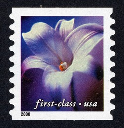 White Lily - First-Class - Horizontal Imperforate United States Postage Stamp | Flowers