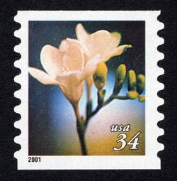 Freesia - Horizontal Imperforate United States Postage Stamp | Flowers