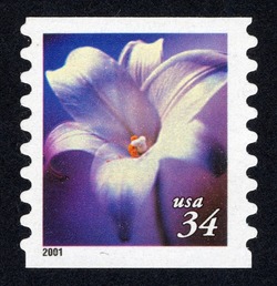 White Lily - Horizontal Imperforate United States Postage Stamp | Flowers