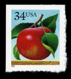 Apple - Perf 11.25 United States Postage Stamp | Fruit Definitives