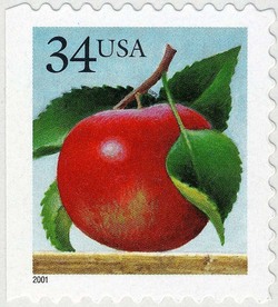 Apple - Perf 11.5 X 10.75 United States Postage Stamp | Fruit Definitives