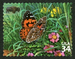 Painted Lady Butterfly United States Postage Stamp | Great Plains Prairie