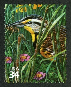 Weastern Meadowlark United States Postage Stamp | Great Plains Prairie