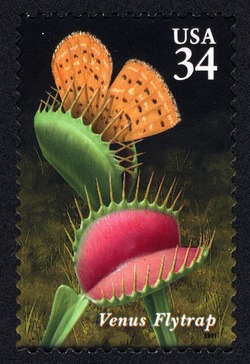Venus Flytrap United States Postage Stamp | Carnivorous Plants