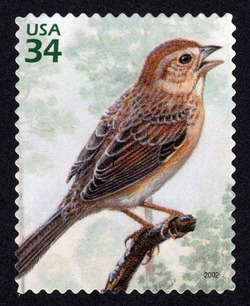 Bachman's Sparrow United States Postage Stamp | Longleaf Pine Forest