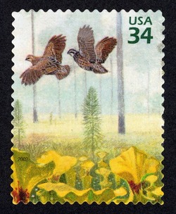 Norther Bobwhite and Yellow Pitcher Plants United States Postage Stamp | Longleaf Pine Forest