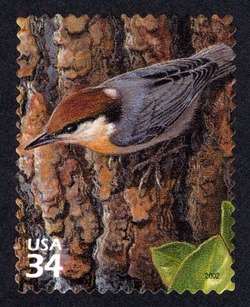 Brown-headed Nuthatch United States Postage Stamp | Longleaf Pine Forest