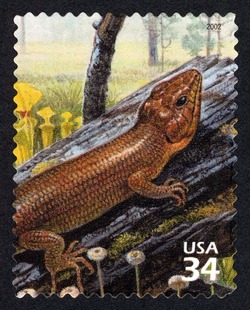 Brownhead Skink United States Postage Stamp | Longleaf Pine Forest