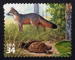 Gray Fox and Gopher Tortoise United States Postage Stamp | Longleaf Pine Forest