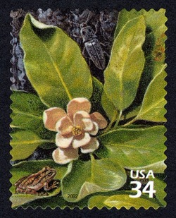 Blind Click Beetle and Pine Woods Tree Frog United States Postage Stamp | Longleaf Pine Forest