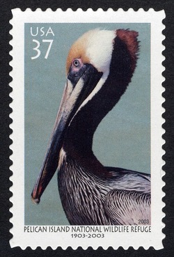Pelican Island National Wildlife Refuge - Brown Pelican United States Postage Stamp