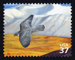 Gyrfalcon United States Postage Stamp | Arctic Tundra