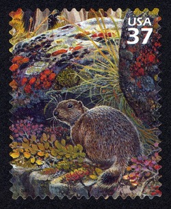 Arctic Ground Squirrel United States Postage Stamp | Arctic Tundra
