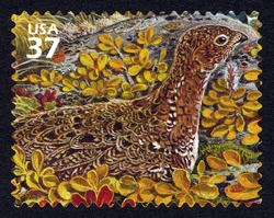 Willow Ptarmigan and Bearberry United States Postage Stamp | Arctic Tundra
