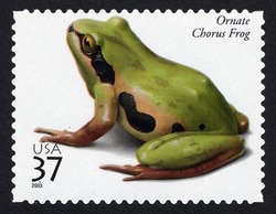 Ornate Chorus Frog United States Postage Stamp | Reptiles and Amphibians