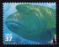 Humphead Wrasse United States Postage Stamp | Pacific Coral Reef