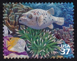 Black-spotted Puffer and Threadfin Butterflyfish United States Postage Stamp | Pacific Coral Reef