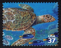 Hawksbill Turtle United States Postage Stamp | Pacific Coral Reef