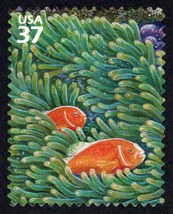 Pink Anemonefish and Sea Anemone United States Postage Stamp | Pacific Coral Reef