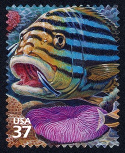 Oriental Sweetlips and Bluestreak Cleaner Wrasse United States Postage Stamp | Pacific Coral Reef