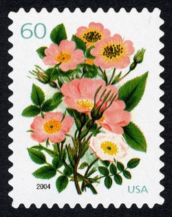 Garden Botanical United States Postage Stamp | Wedding