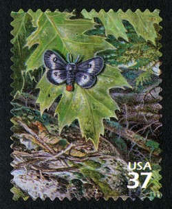 Eastern Buckmoth United States Postage Stamp | Northeast Deciduous Forest