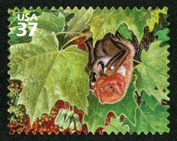 Eastern Red Bat United States Postage Stamp | Northeast Deciduous Forest
