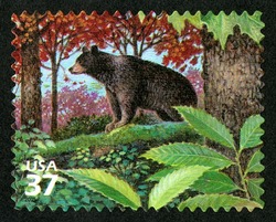Black Bear United States Postage Stamp | Northeast Deciduous Forest