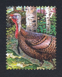 Wild Turkey United States Postage Stamp | Northeast Deciduous Forest