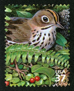 Ovenbird United States Postage Stamp | Northeast Deciduous Forest