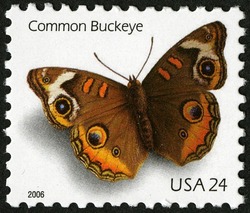 Common Buckeye Butterfly United States Postage Stamp