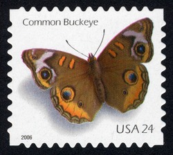 Common Buckeye Butterfly - Self-adhesive United States Postage Stamp