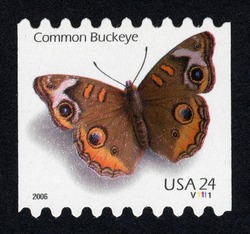 Common Buckeye Butterfly - Horizontal Imperforate United States Postage Stamp