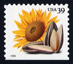 Sunflower Seeds - Booklet Single - Perf 10.75 X 10.5 United States Postage Stamp | Crops of the Americas