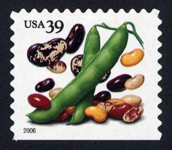 Beans - Booklet Single - Perf 10.75 X 10.5 United States Postage Stamp | Crops of the Americas
