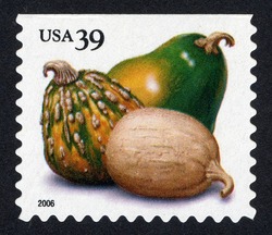 Squashes - Booklet Single - Perf 10.75 X 11.25 United States Postage Stamp | Crops of the Americas