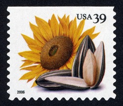 Sunflower Seeds - Booklet Single - Perf 10.75 X 11.25 United States Postage Stamp | Crops of the Americas