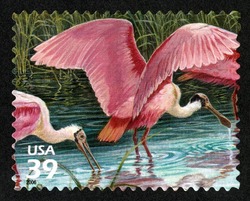 Roseate Spoonbills United States Postage Stamp | Southern Florida Wetland