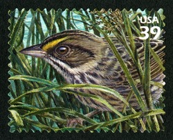 Cape Sable Seaside United States Postage Stamp | Southern Florida Wetland