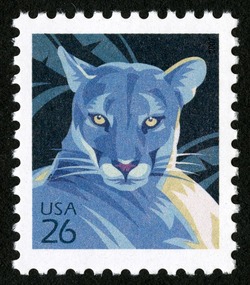 Florida Panther United States Postage Stamp