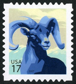 Bighorn Sheep United States Postage Stamp