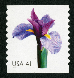 Iris - Horizontal Imperforate United States Postage Stamp | Beautiful Blooms