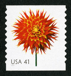Dahlia - Horizontal Imperforate United States Postage Stamp | Beautiful Blooms