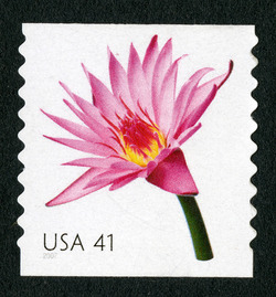 Water Lily - Horizontal Imperforate United States Postage Stamp | Beautiful Blooms